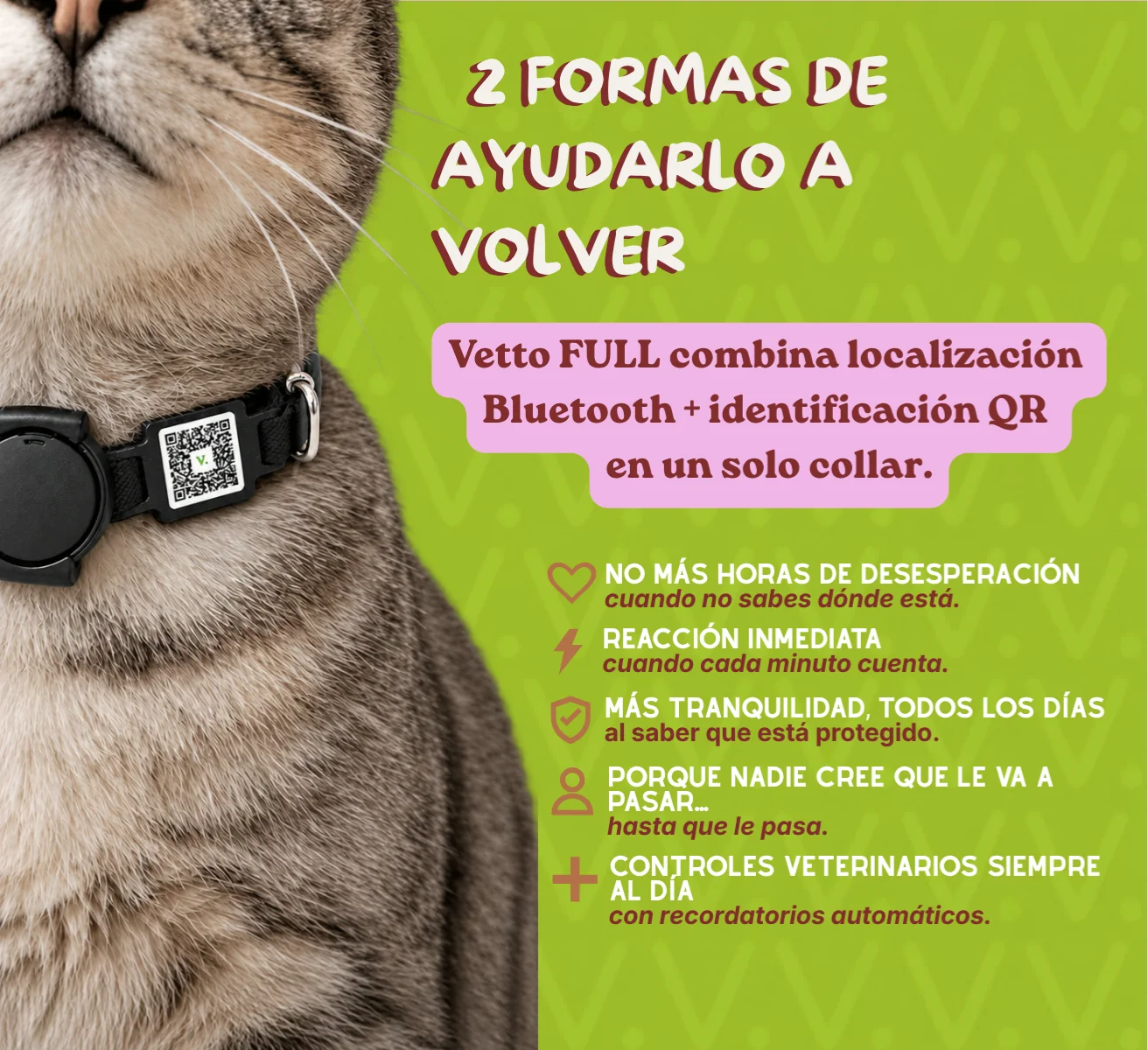 Vetto - tecnología para mascotas